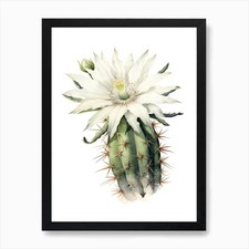 Poster arte da parete con