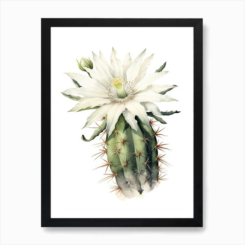 Poster arte parete con - poster,