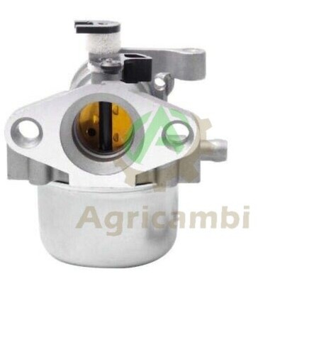 Carburatore briggs stratton - carburatore,