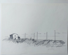 Enotrio Pugliese. Disegno