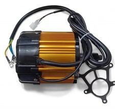 Motore Elettrico Per Triciclo