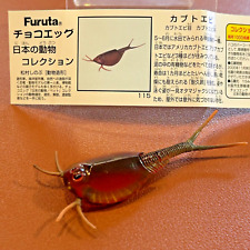 Granchio ferro di cavallo