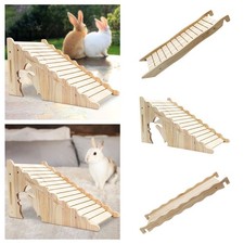 Ponte per criceti nani, rampa