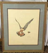 KESTRAL Edizione Limitata RAY