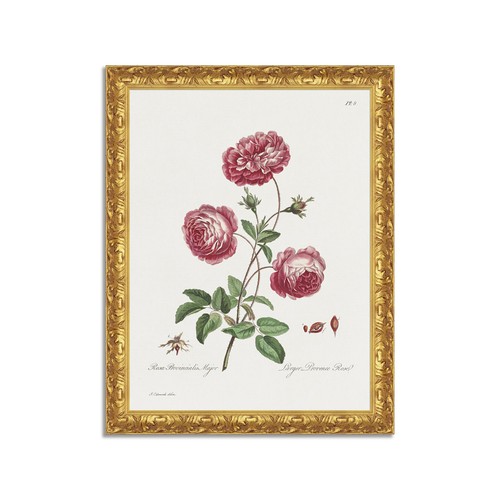 Quadro stampa tela - stampa,