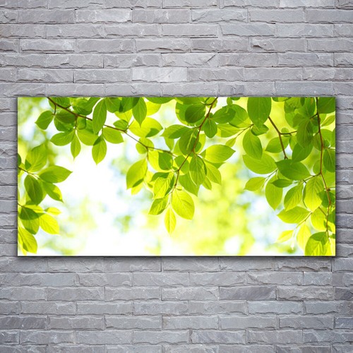 120x60 stampa tela - 120x60, su
