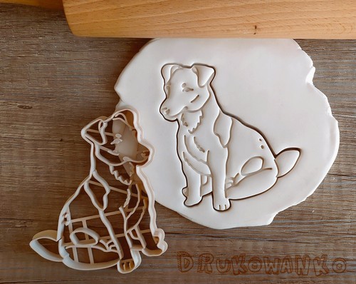 Jack russell terrier face body - jack,