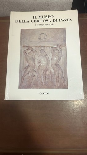 Museo certosa pavia - museo,