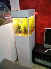 Acquario artigianale