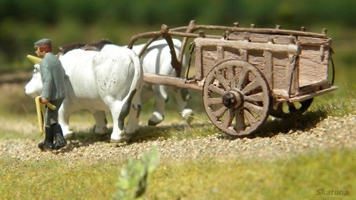 Carro agricolo ruote in - a, 2