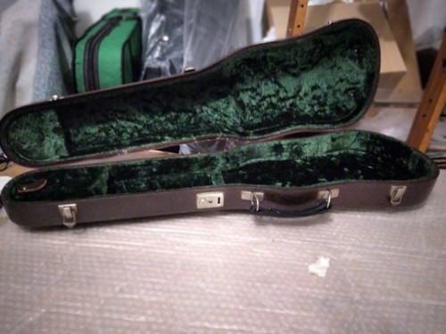 Custodia pelle violino - custodia,