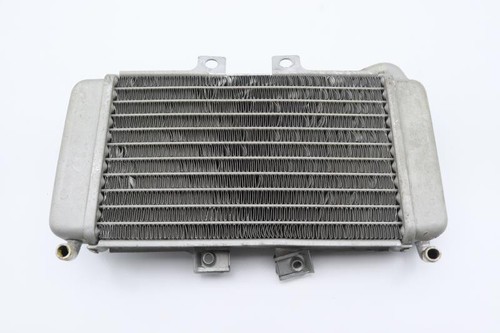 Radiatore acqua piaggio nrg - piaggio,