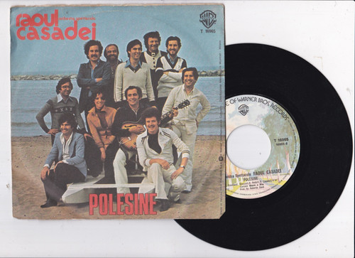 Disco giri raoul casadei - disco,