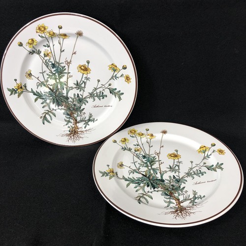 Villeroy boch botanica - &,