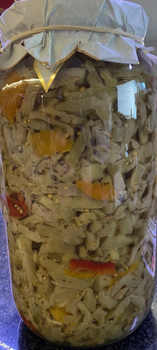 Melanzane filetto olio semi - a,