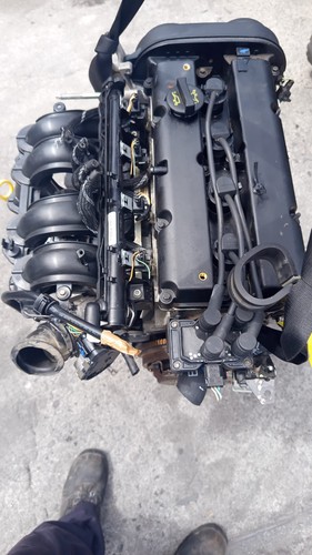 Motore ford fiesta 16v - motore,