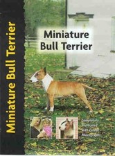 Miniature Bull Terrier by Lee