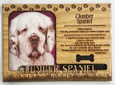 Calamita cornice legno incisa laser profilo cane CLUMBER SPANIEL