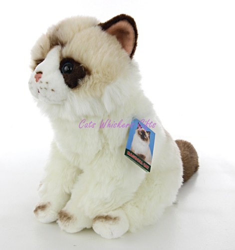 Ragdoll peluche giocattolo - ragdoll,