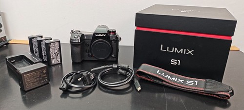 Panasonic lumix mirrorless - panasonic,