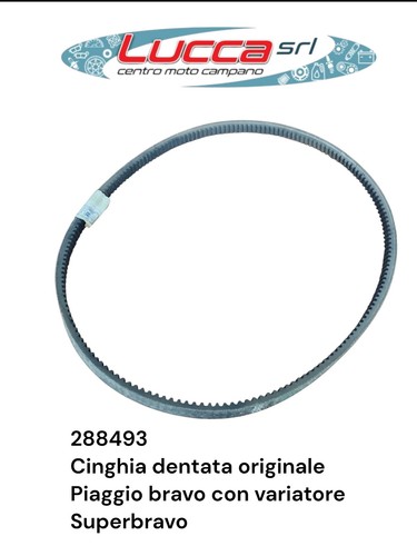 288493 cinghia dentata - 288493,