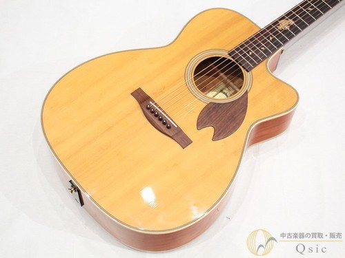 Chitarra elettrica acustica