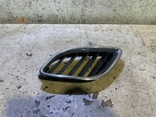 Griglia anteriore inferiore