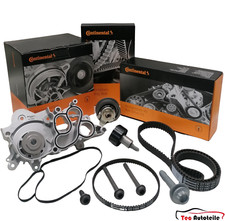 Cinghia Distribuzione
