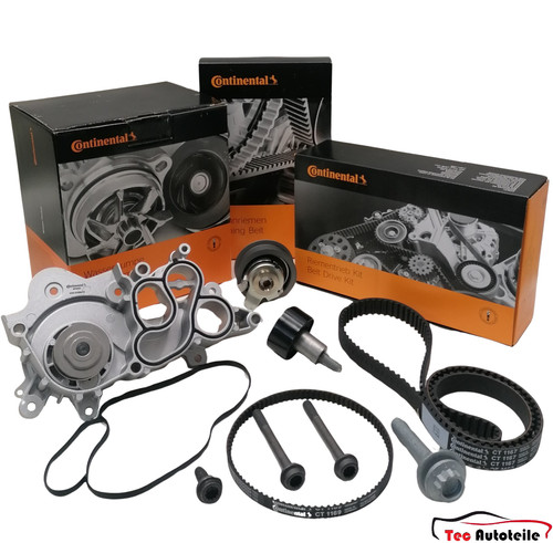Cinghia distribuzione - cinghia,