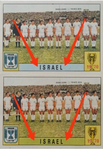 Panini sticker mint - panini,