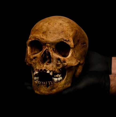Hand painted human - hand, art