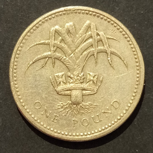 Regno unito pound - pound, sterlina