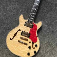 Chitarra Elettrica Hollow