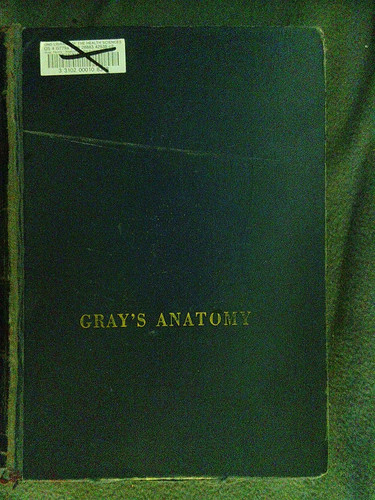 Gray anatomy the - the, human