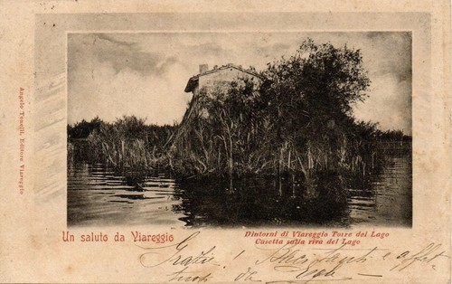 300 viareggio torre - -, del