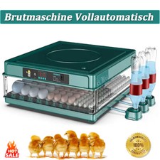 Incubatrice per uova 48 - incubatrice, 36-48
