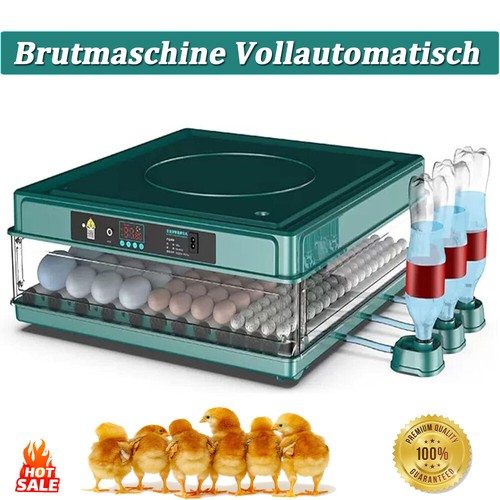 Incubatrice per uova 48 - incubatrice, 36-48