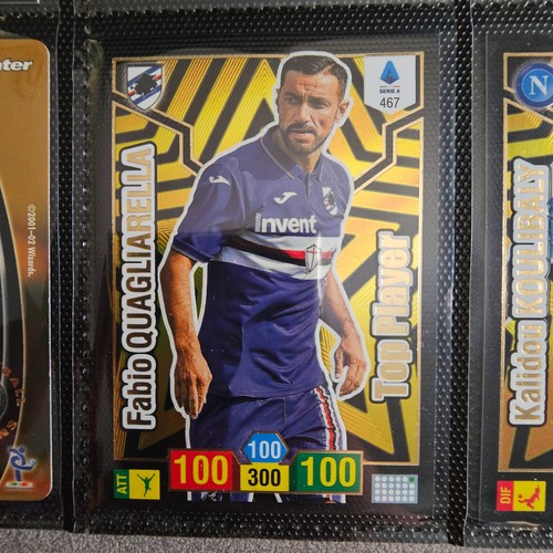 Panini adrenalyn 2019 top - panini,
