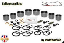 Kit revisione pinza freno