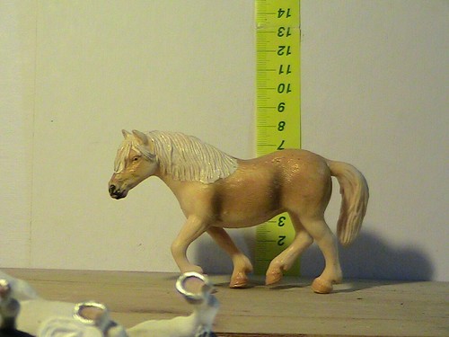 Cavallo collezione o - da,