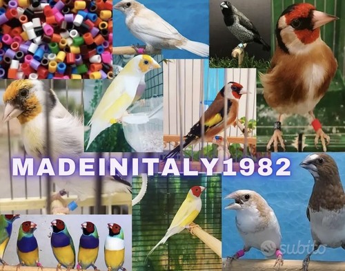 1000 anellini anelli - 1000,