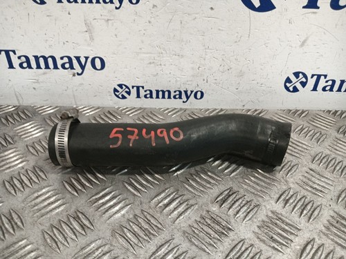 Manica 1186983 per - per, suzuki