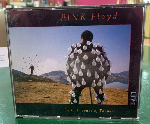 Pink floyd delicate sound - floyd,