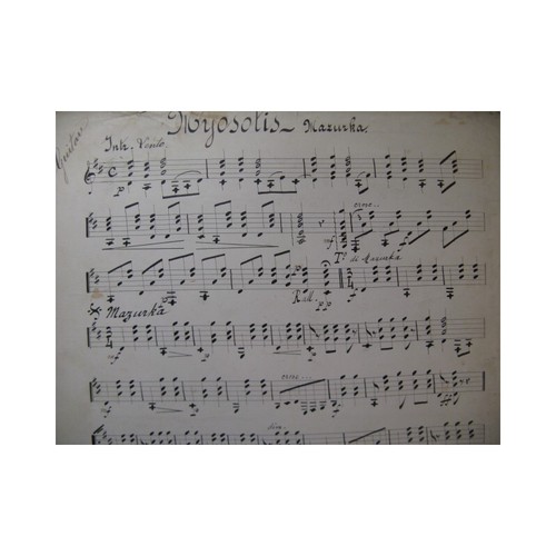 Myosotis mazurka chitarra - myosotis,