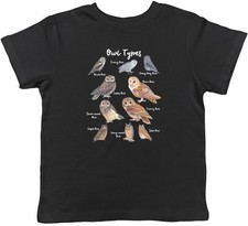 Collezione Gufi Uccellino