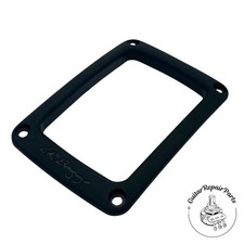 LR Baggs StagePro