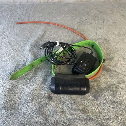 Garmin dc40 collare - garmin,