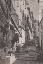 CARTOLINA  BELLAGIO COMO