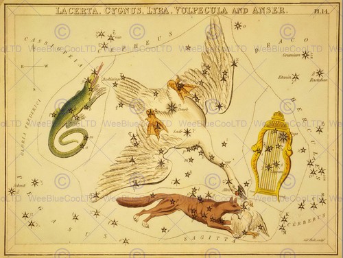 85633 disegno mappa stella - 85633,