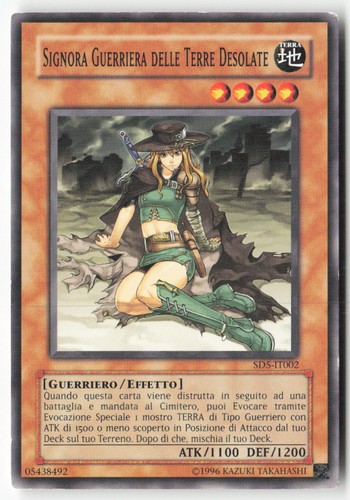 T564 signora guerriera delle - [t564],